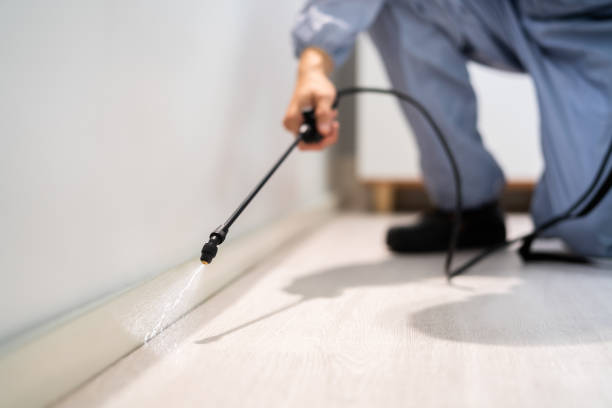 Rodent Entry Point Assessment in North Fond du Lac