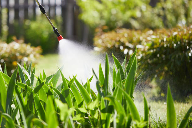Tamper-Resistant Bait Stations for Rodents in North Fond du Lac