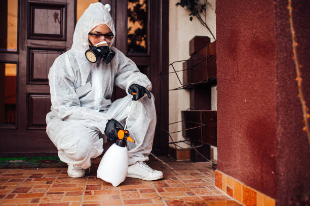 Attic and Crawl Space Rodent Treatment in North Fond du Lac