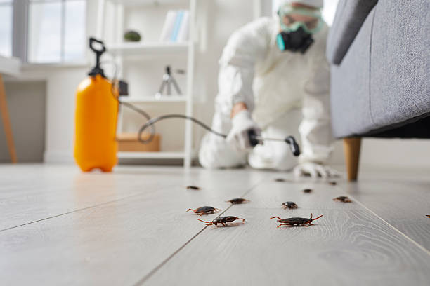 Commercial Rodent Management in North Fond du Lac